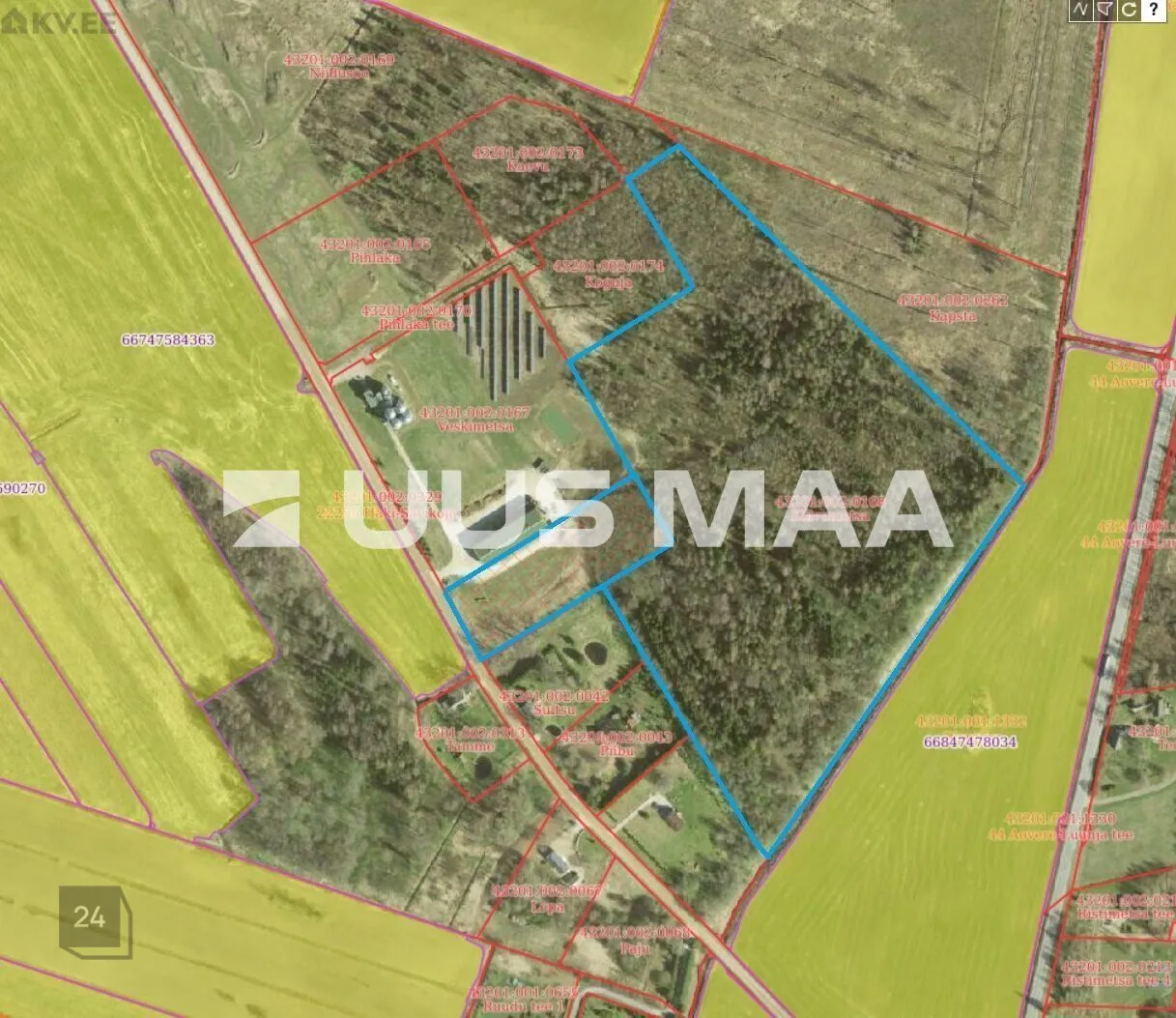 FOREST AND RESIDENTIAL LAND PROPERTIES IN LUUNJA PARISH