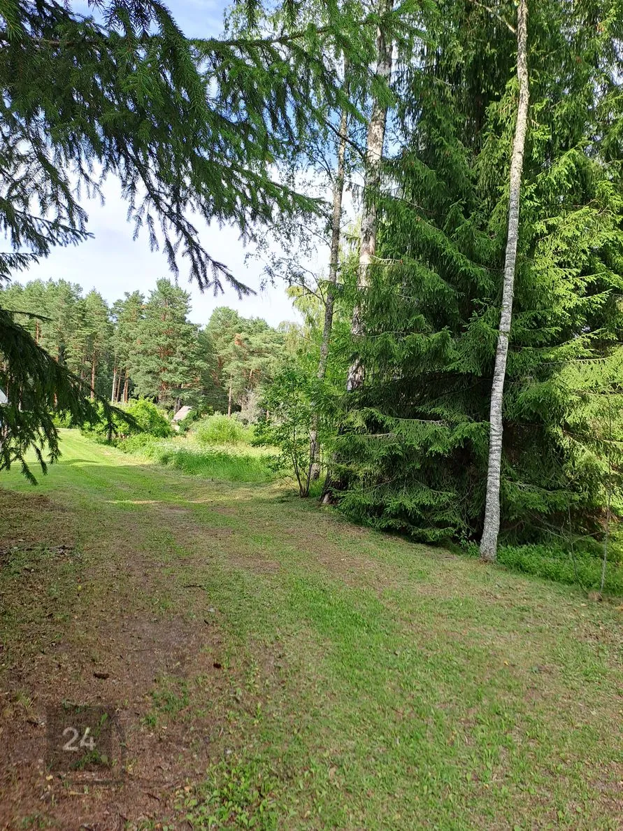 Come to Võsul and build your dream home