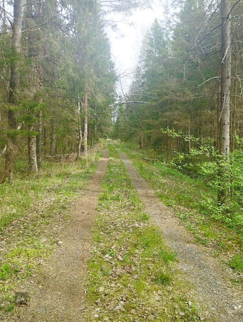 Go from the city edge to the forest corner