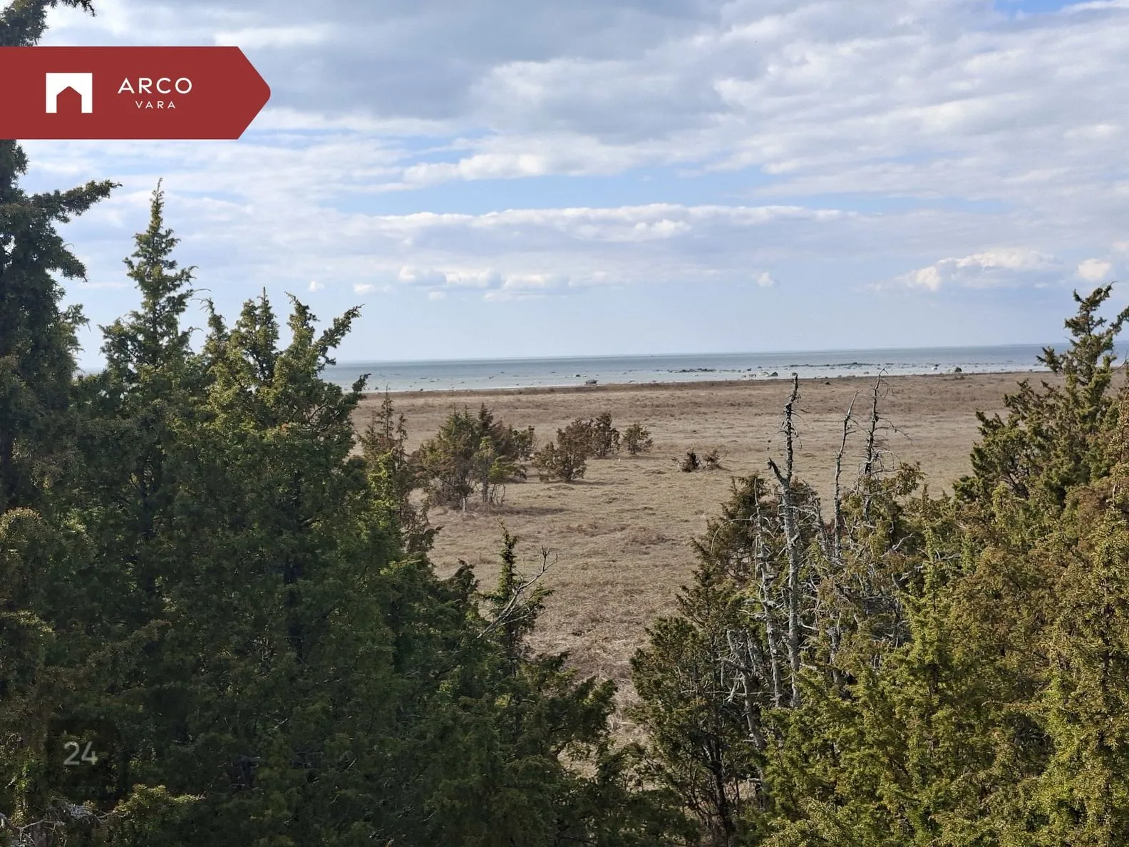 10 hectares of Muhu land - sea, junipers and plenty of open space