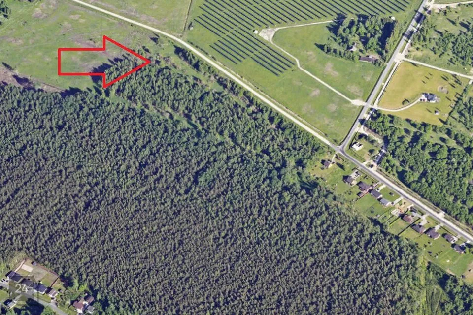 Maatulundusmaa, 20998 m² Maa - Tori vald, Eametsa küla