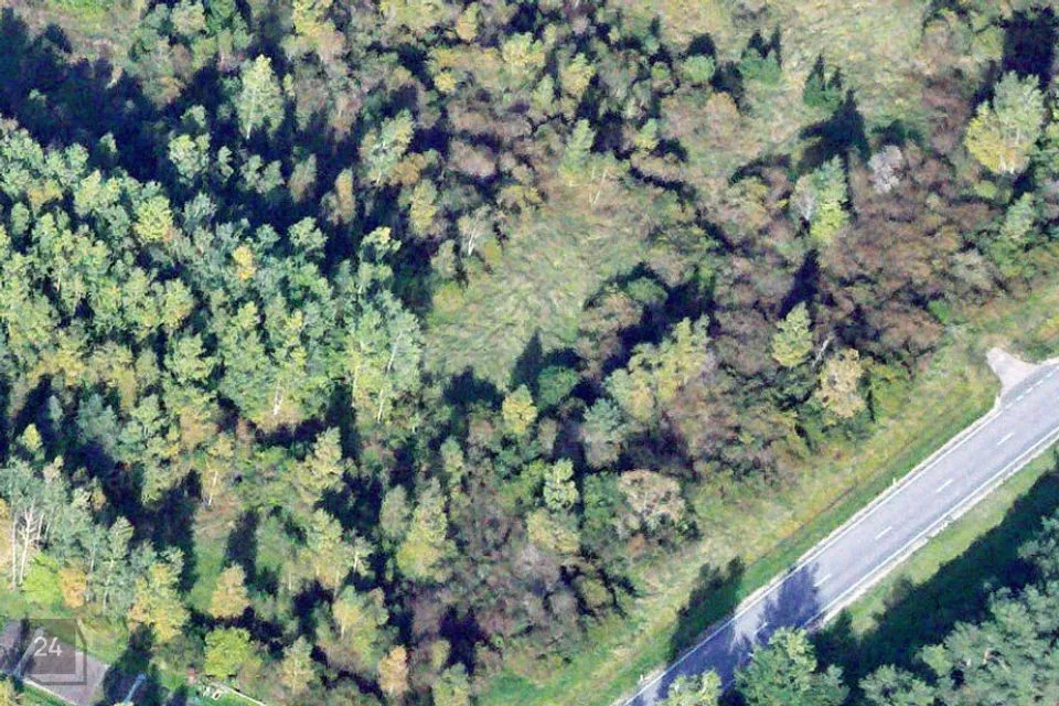 Maatulundusmaa, 6412 m² Maa  -  Mustvee vald, Lohusuu alevik - foto 2