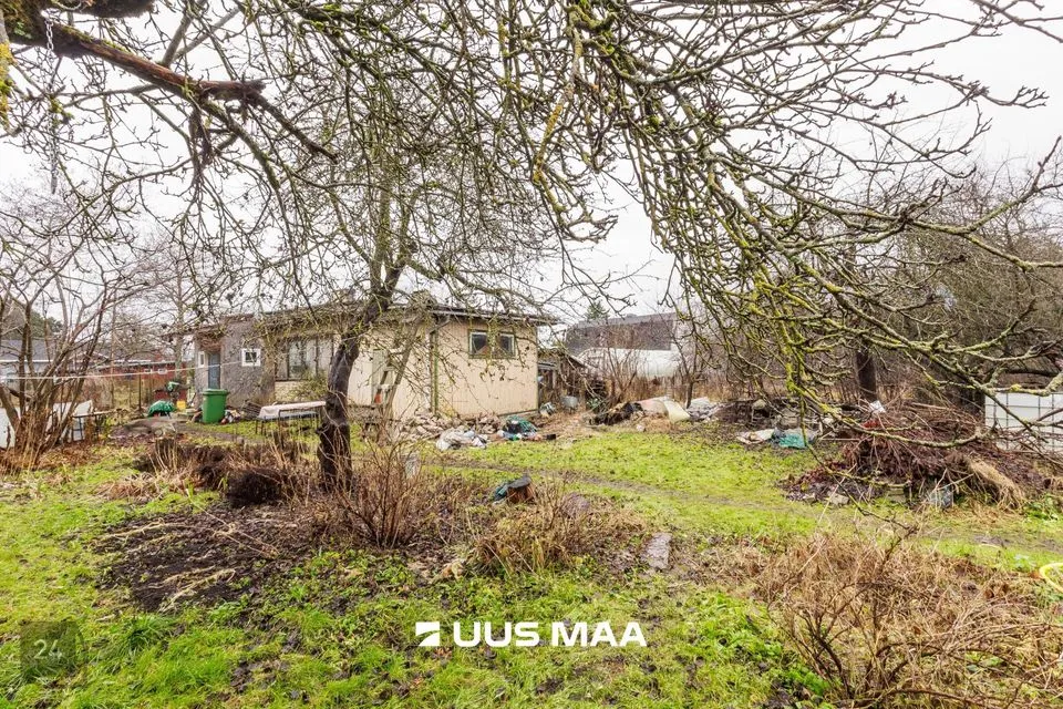 1-toaline Suvila  -  Maardu linn - foto 4