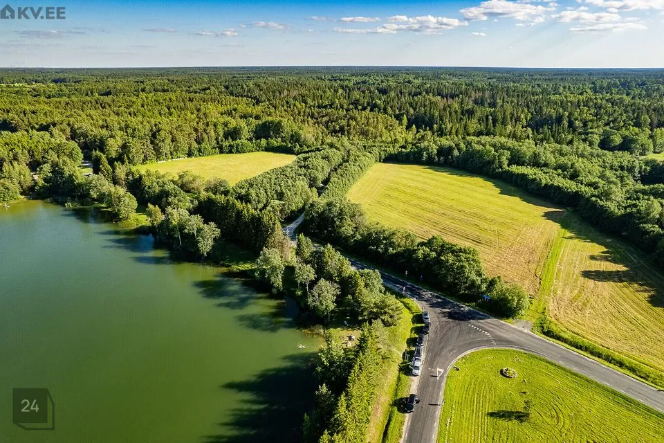 Maatulundusmaa, 260614 m² Maa  -  Saue vald, Pärinurme küla - foto 5