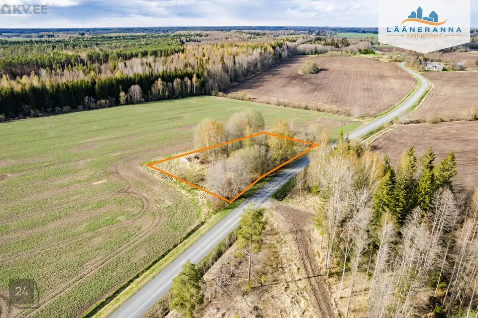 Sihtotstarbeta maa, 3126 m² Maa - Türi vald, Vilita küla - foto 2