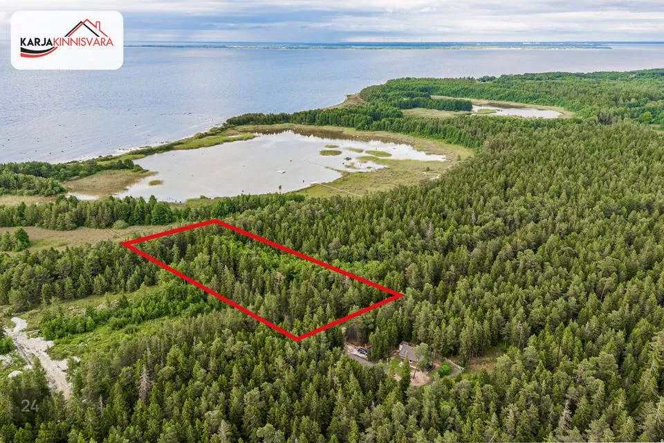 Maatulundusmaa, 7007 m² Maa  -  Lääne-Harju vald, Alliklepa küla - foto 5