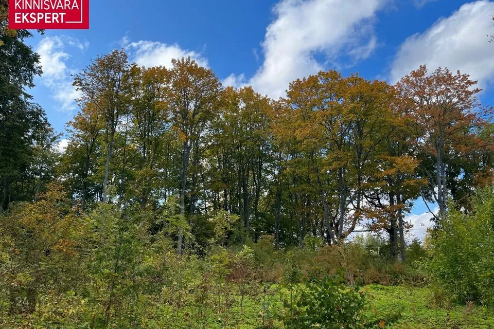Maatulundusmaa, 6955 m² Maa  -  Pärnu linn, Aruvälja küla - foto 3