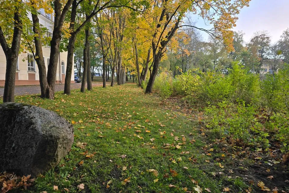 Elamumaa, 1315 m² Maa  -  Kohtla-Järve linn, Järve linnaosa - foto 2