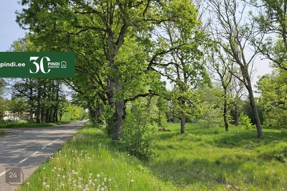 Maatulundusmaa, 16840 m² Maa - Märjamaa vald, Vana-Vigala küla - foto 3