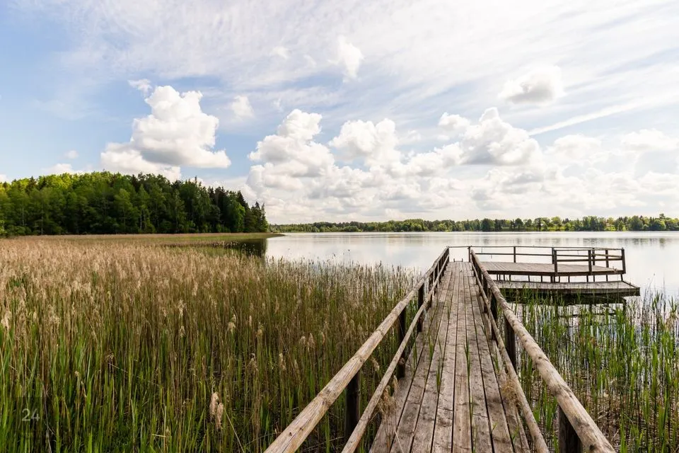 Maatulundusmaa, 67900 m² Maa  -  Otepää vald, Nõuni küla - foto 4