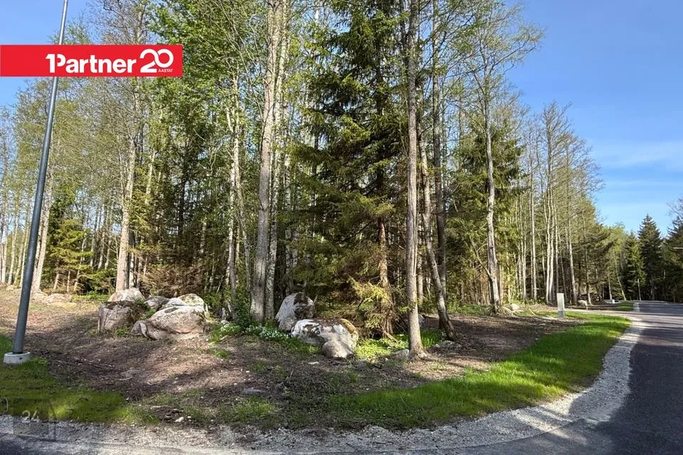 Transpordimaa, 4000 m² Maa  -  Harku vald, Suurupi küla - foto 4