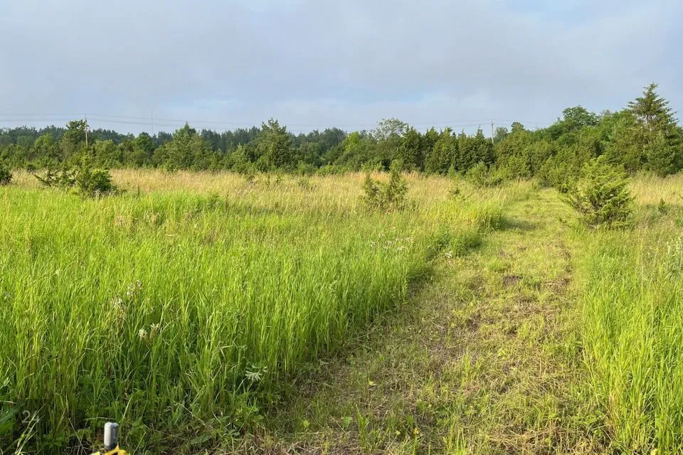 Elamumaa, 9674 m² Maa  -  Lääne-Harju vald, Madise küla - foto 4