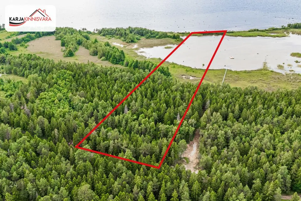 Maatulundusmaa, 26017 m² Maa  -  Lääne-Harju vald, Alliklepa küla - foto 2
