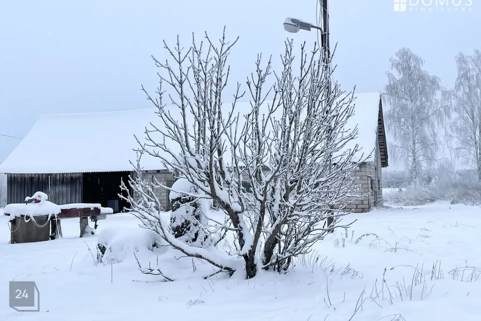 4-toaline Maja  -  Mulgi vald, Metsaküla - foto 4