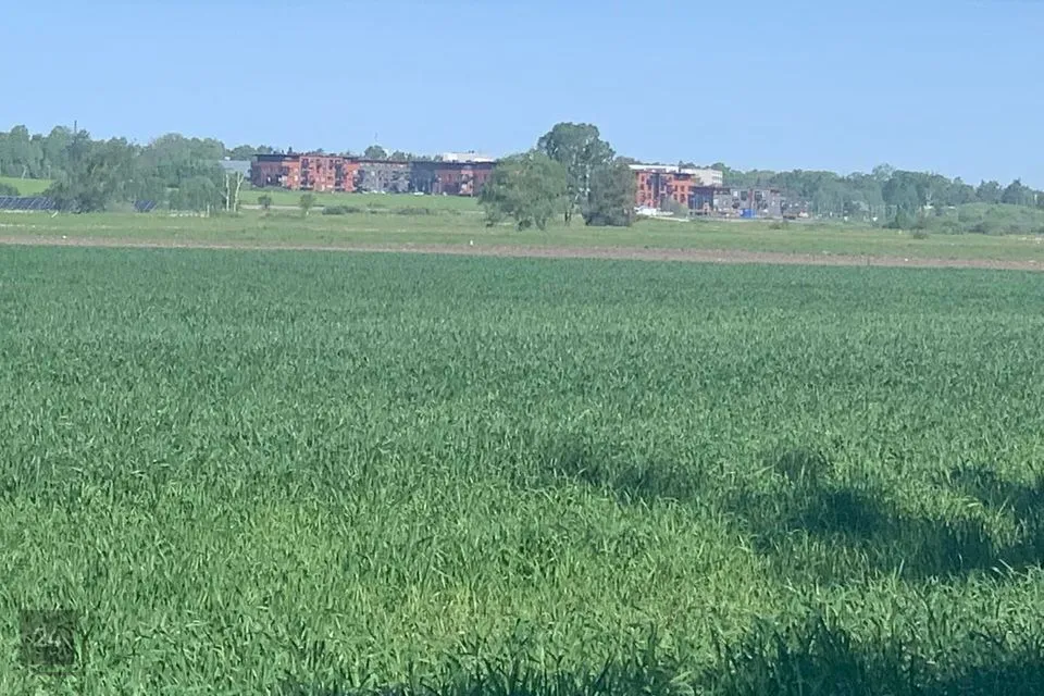 Maatulundusmaa, 266412 m² Maa  -  Saku vald, Kajamaa küla