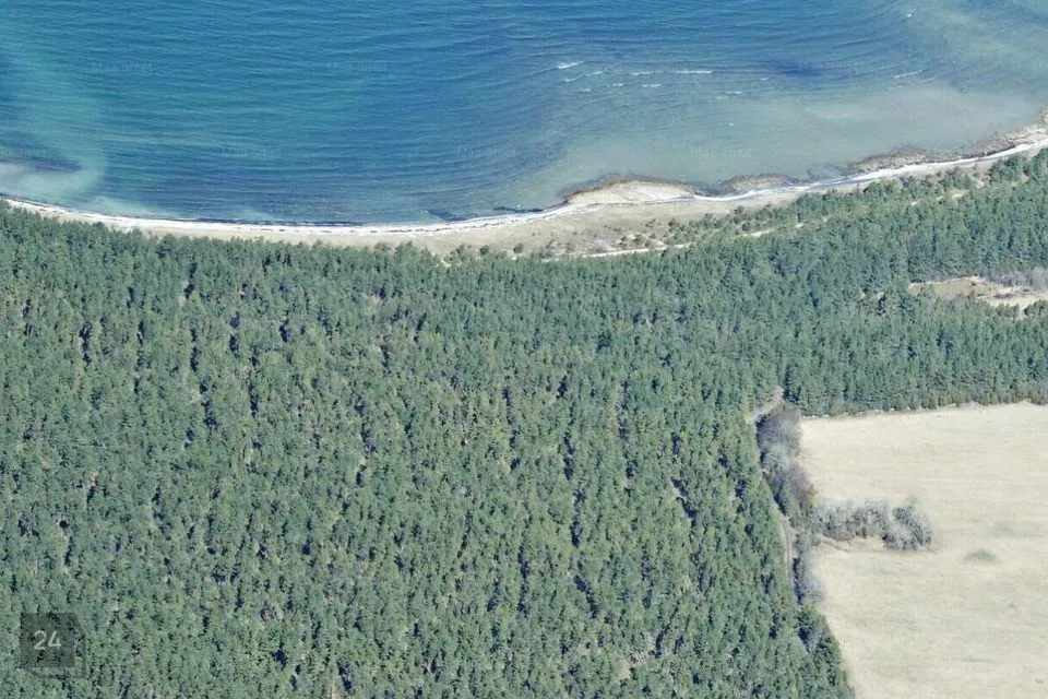 Sotsiaalmaa - üldkasutatav maa, 22300 m² Maa - Saaremaa vald, Kugalepa küla - foto 3