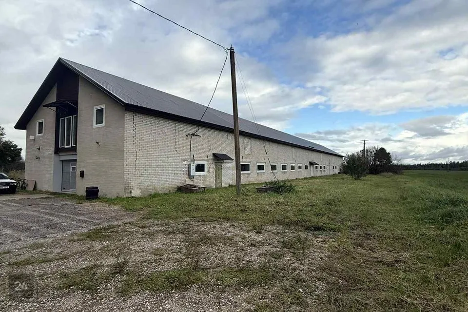 1821 m² Äripind  -  Viljandi vald, Pinska küla - foto 2