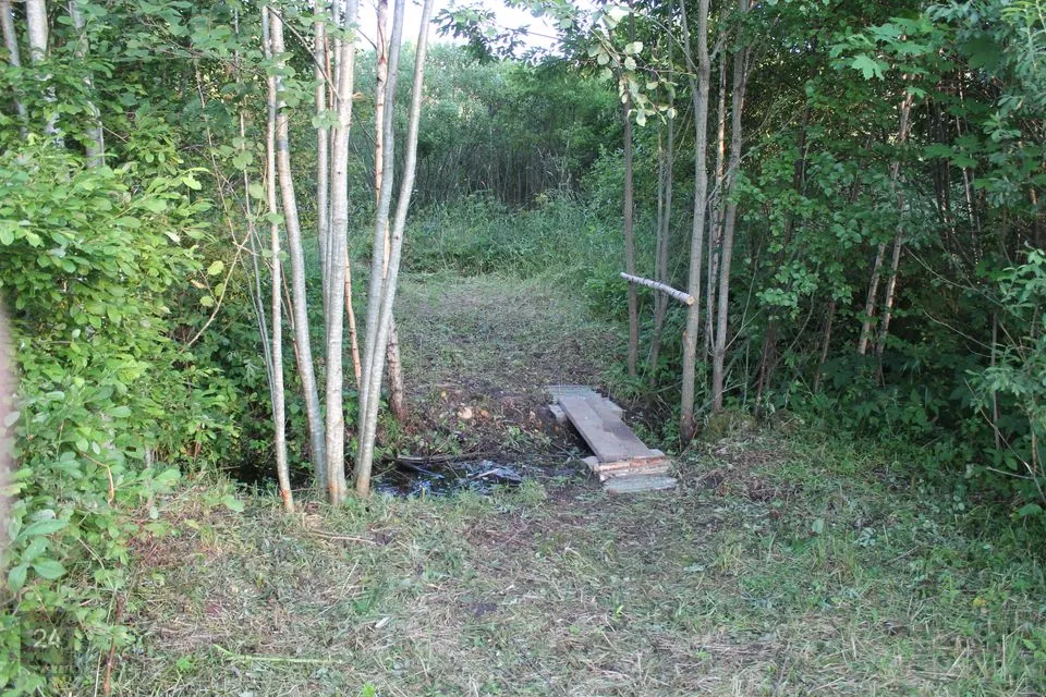 Elamumaa, 17289 m² Maa - Türi vald, Vilita küla - foto 5