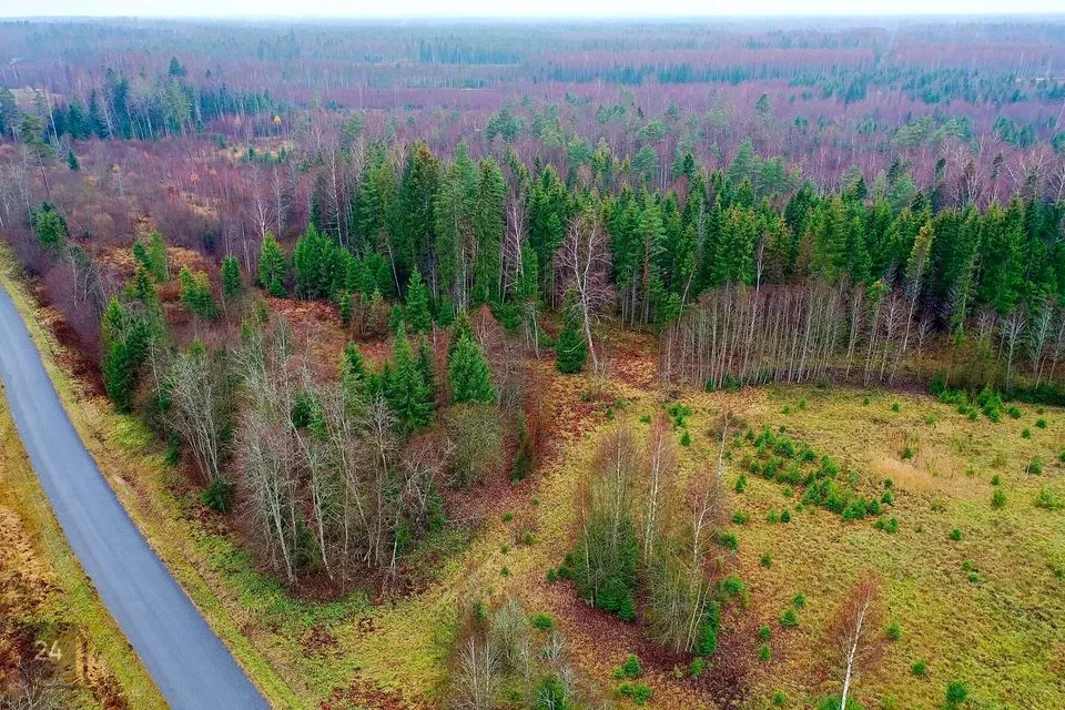 Maatulundusmaa, 21511 m² Maa - Anija vald, Voose küla - foto 3