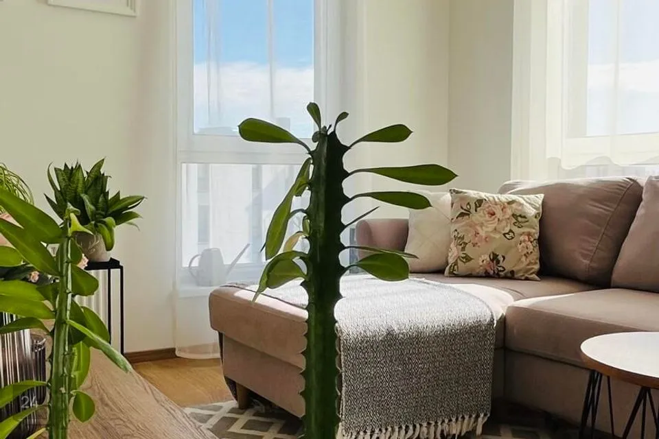 2-toaline Korter - Tallinn, Haabersti linnaosa