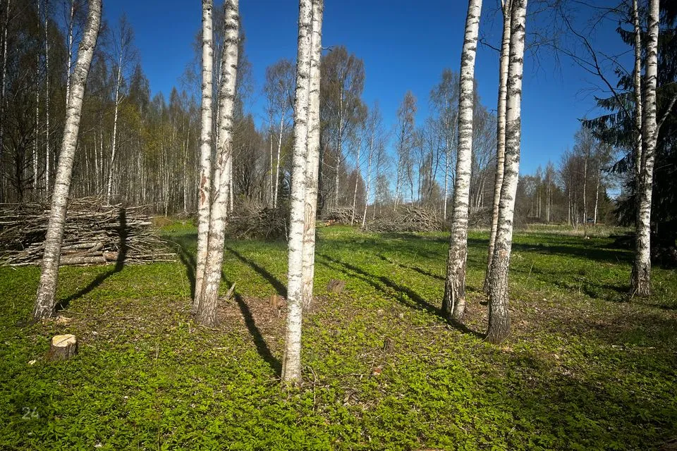 Elamumaa, 17877 m² Maa - Räpina vald, Meeksi küla - foto 5