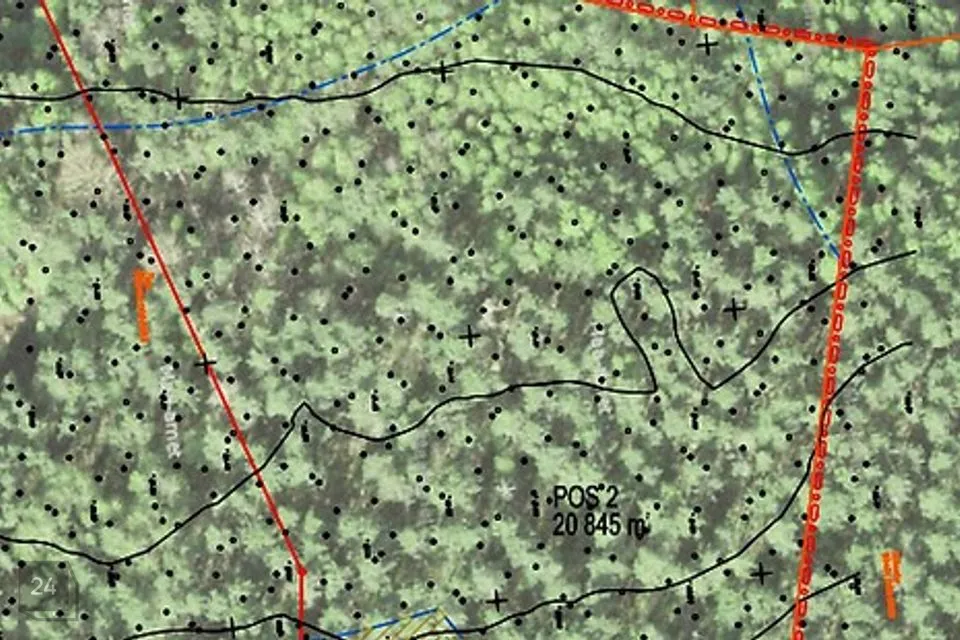 Maatulundusmaa, 21185 m² Maa  -  Setomaa vald, Väike-Rõsna küla - foto 4