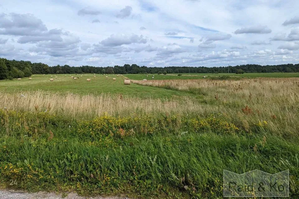 Elamumaa, 5025 m² Maa - Saaremaa vald, Laugu küla