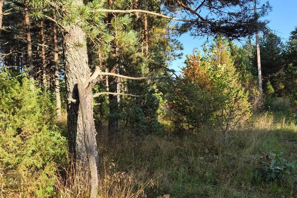 Земля жилой застройки, 14168 m² участок в Lääne-Nigula vald, Variku küla