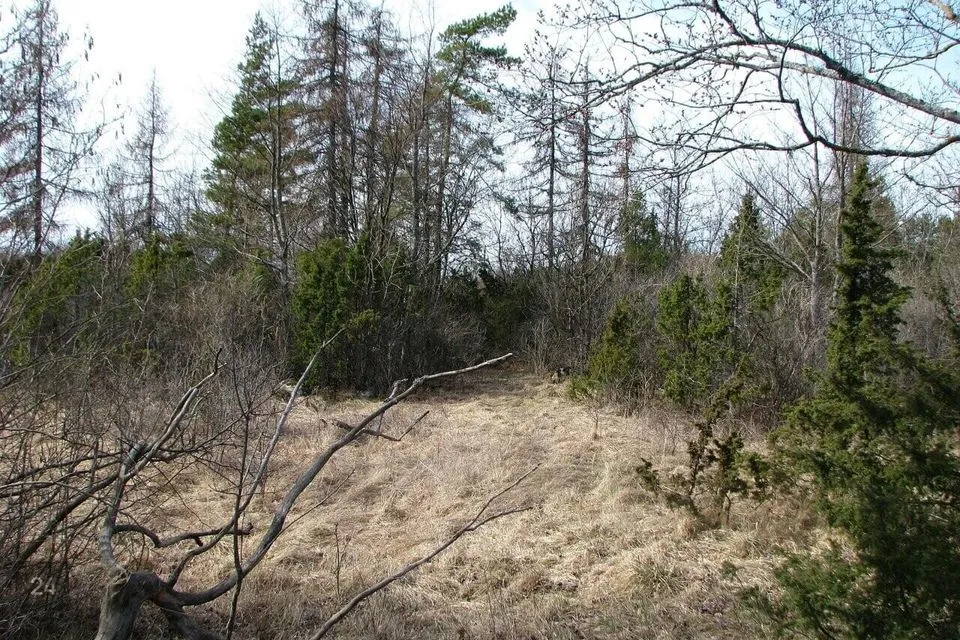 Elamumaa, 8878 m² Maa  -  Lääneranna vald, Virtsu alevik - foto 3