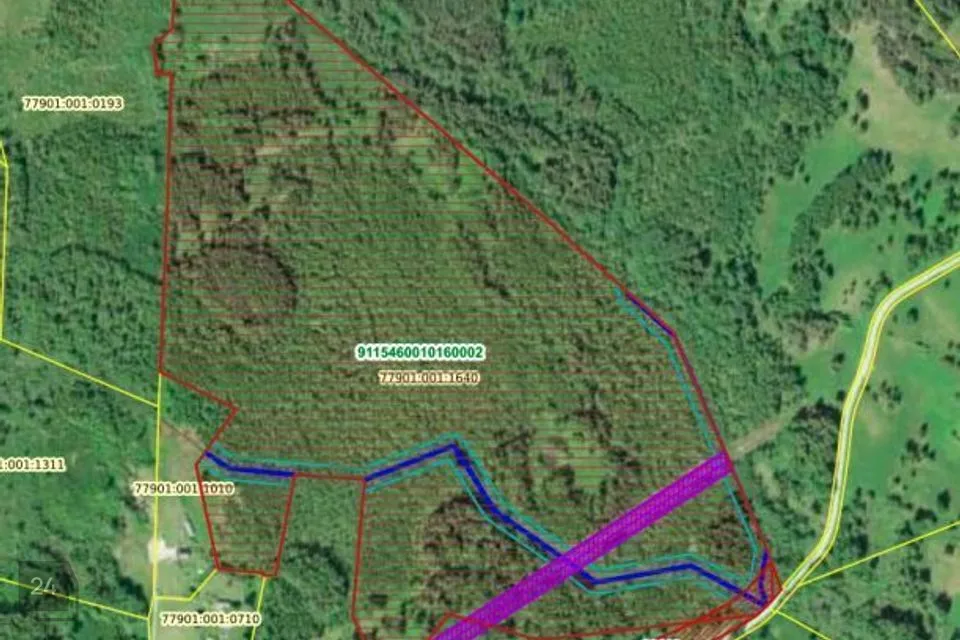 Maatulundusmaa, 312600 m² Maa  -  Valga vald, Koikküla - foto 2