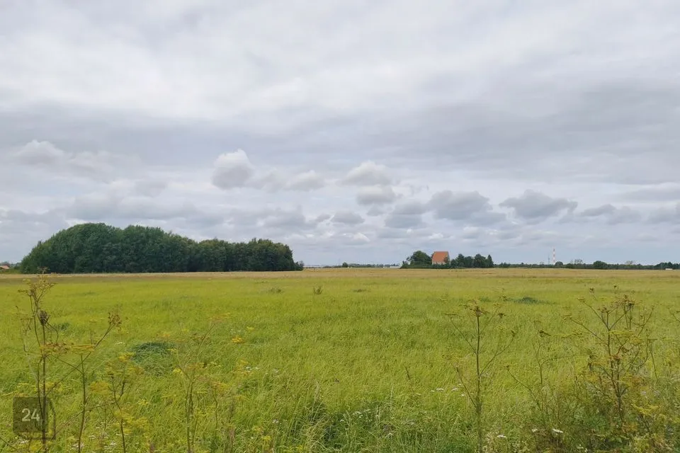 Elamumaa, 18391 m² Maa  -  Jõelähtme vald, Saha küla