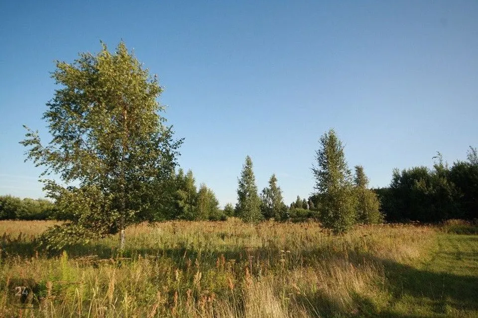 Residential land, 14000 m² land in Pärnu linn, Papsaare küla - photo 4