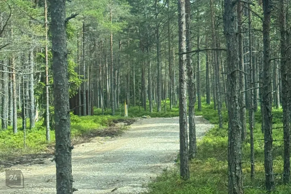 Elamumaa, 4894 m² Maa  -  Lääne-Nigula vald, Elbiku küla / Ölbäck - foto 2