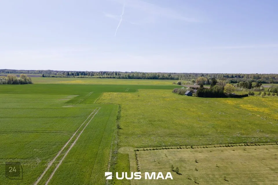 Земля жилой застройки, 7784 m² участок в Saaremaa vald, Leisi alevik - фото 2