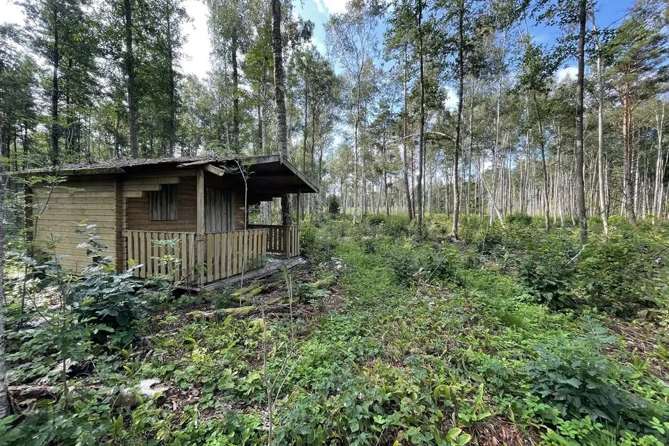 Maatulundusmaa, 15003 m² Maa - Saaremaa vald, Laugu küla - foto 3