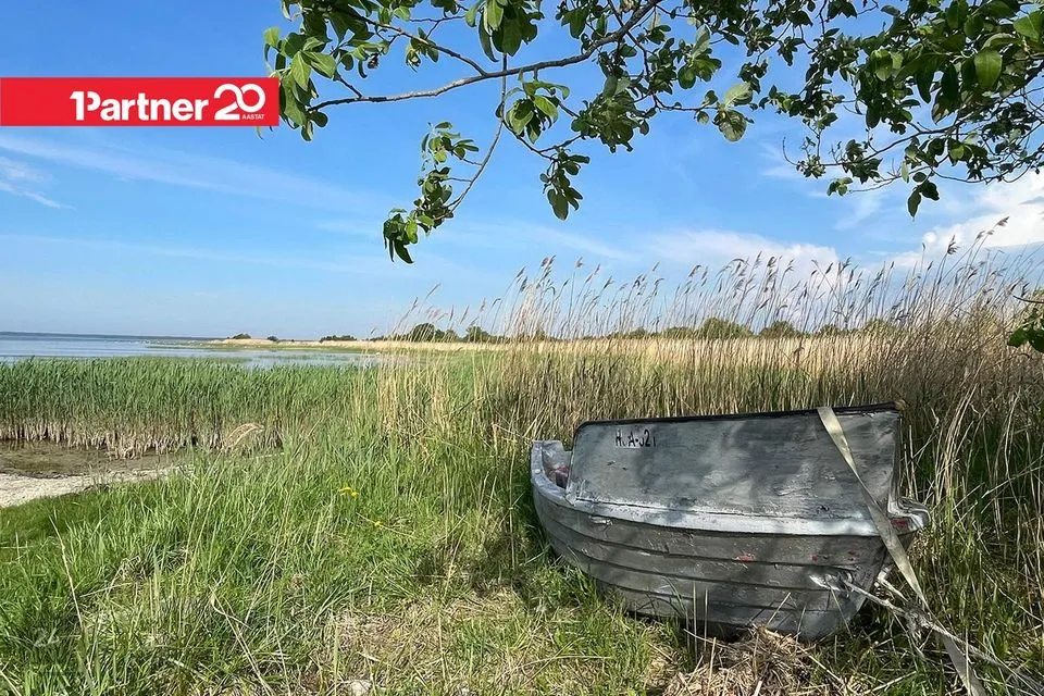 Elamumaa, 4828 m² Maa  -  Lääne-Harju vald, Kurkse küla - foto 4