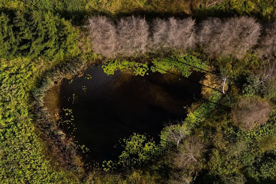 Elamumaa, 8506 m² Maa  -  Võru vald, Mäekülä - foto 4