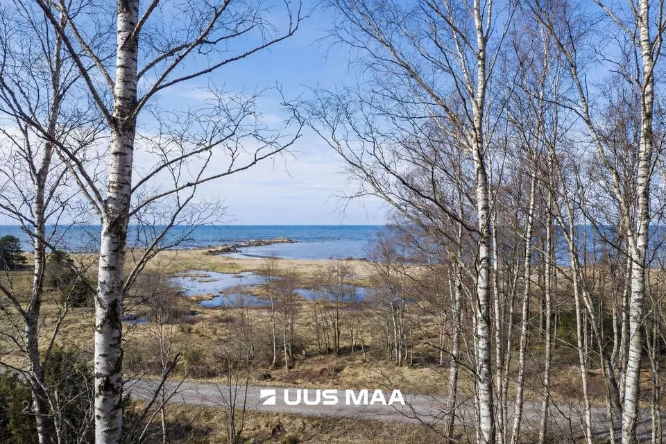Elamumaa, 35678 m² Maa - Hiiumaa vald, Tohvri küla - foto 4