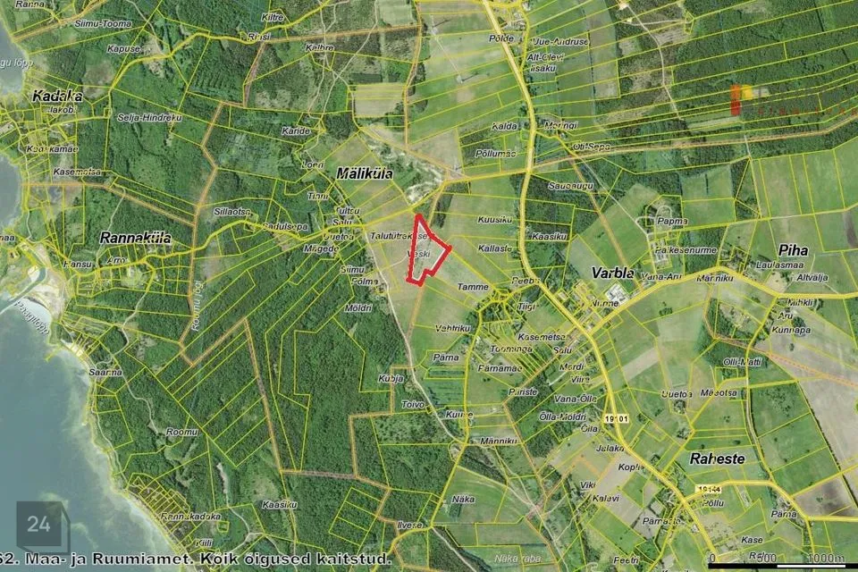 Maatulundusmaa, 24200 m² Maa - Lääneranna vald, Mäliküla - foto 4
