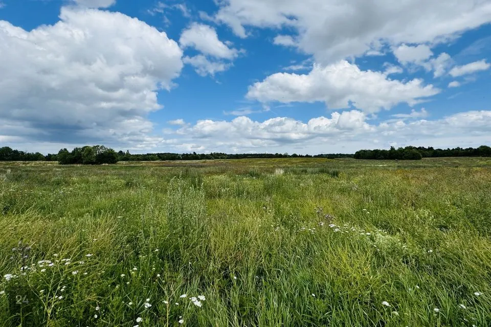 Maatulundusmaa, 31900 m² участок в Hiiumaa vald, Orjaku küla - фото 3