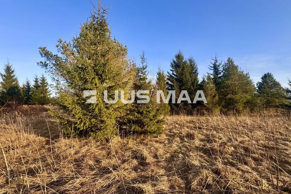 Maatulundusmaa, 12611 m² Maa - Kohila vald, Mälivere küla
