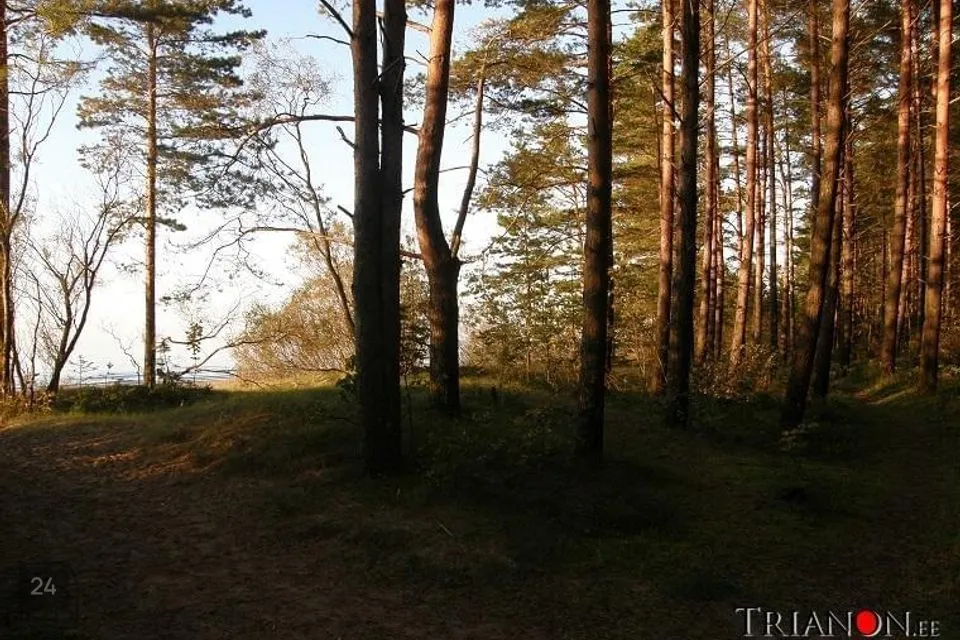 5712 m² land in Narva-Jõesuu linn, Narva-Jõesuu linn - photo 5