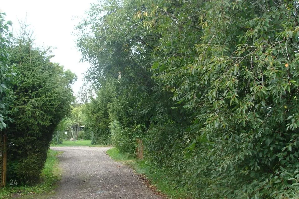 2-toaline Suvila  -  Harku vald, Vääna-Jõesuu küla - foto 2