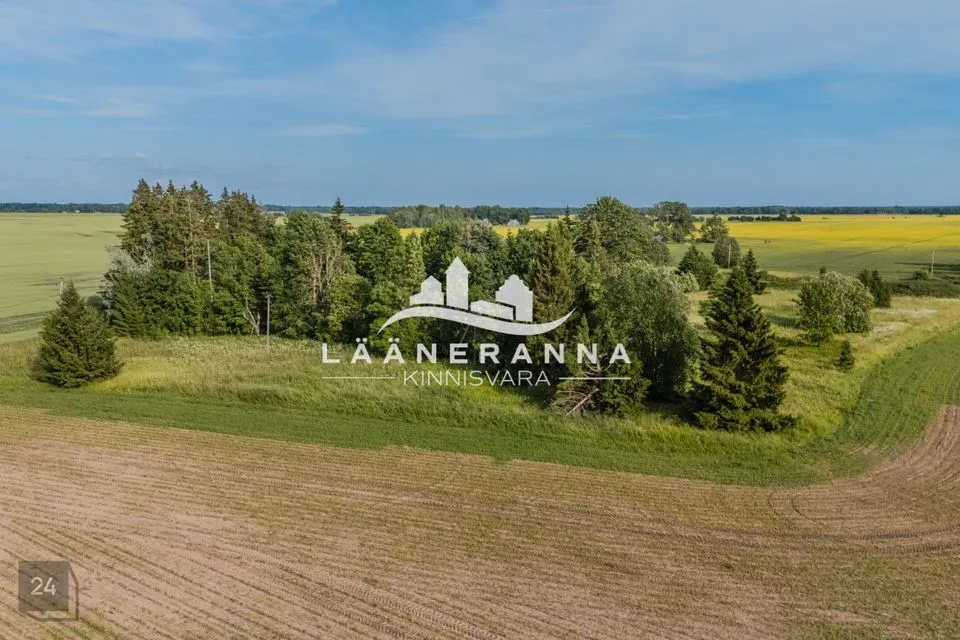 Земля жилой застройки, 7708 m² участок в Türi vald, Ollepa küla - фото 4