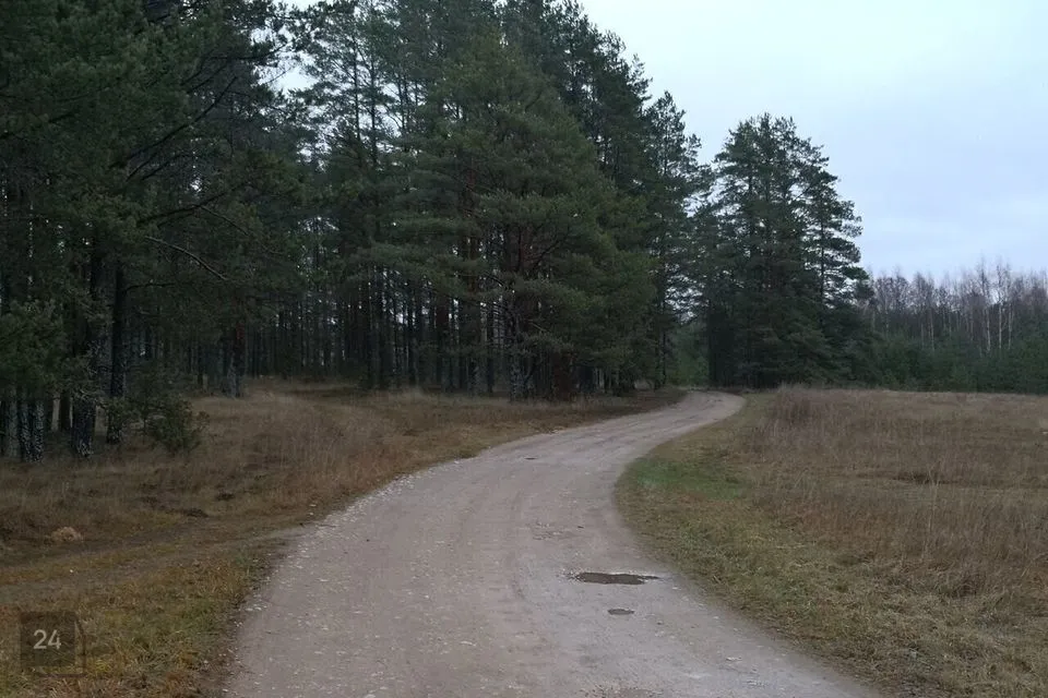 Земля жилой застройки, 2500 m² участок в Alutaguse vald, Kuru küla - фото 2