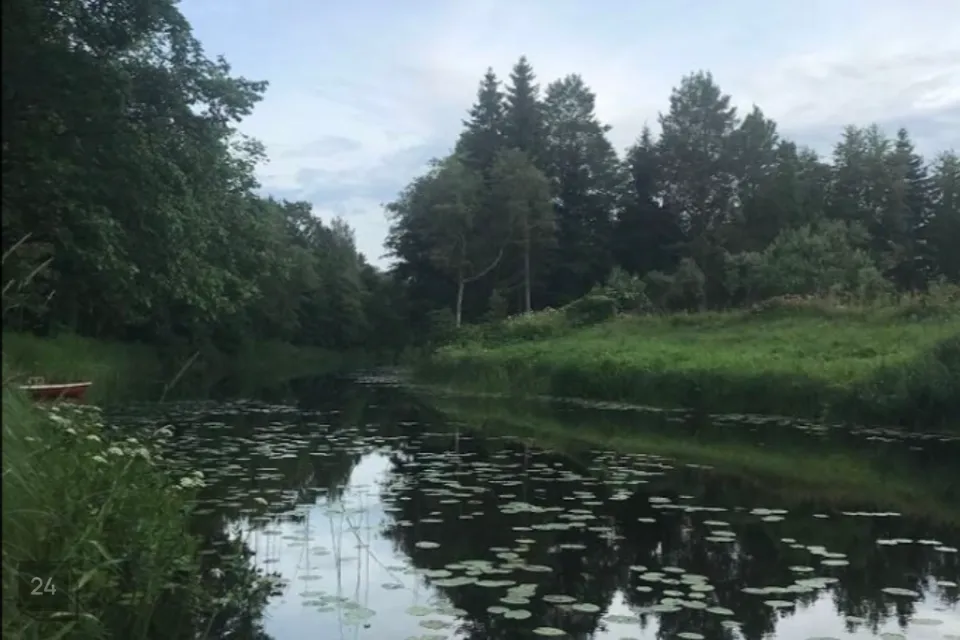 Elamumaa, 1569 m² Maa  -  Pärnu linn, Silla küla - foto 4