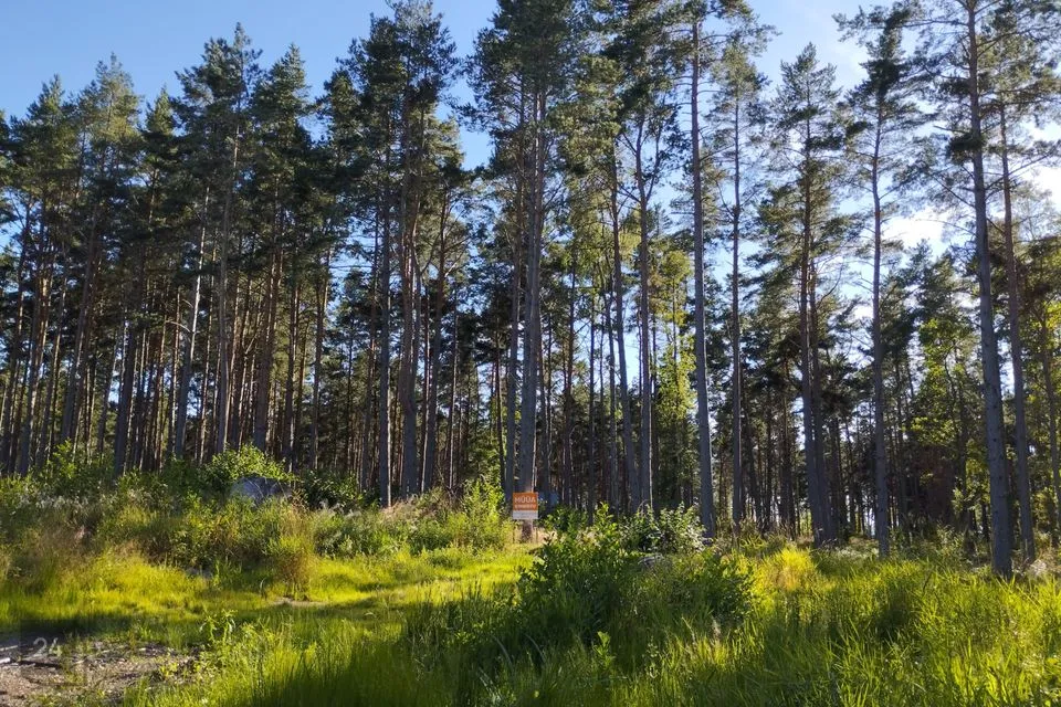 Elamumaa, 5186 m² Maa  -  Jõelähtme vald, Neeme küla - foto 5