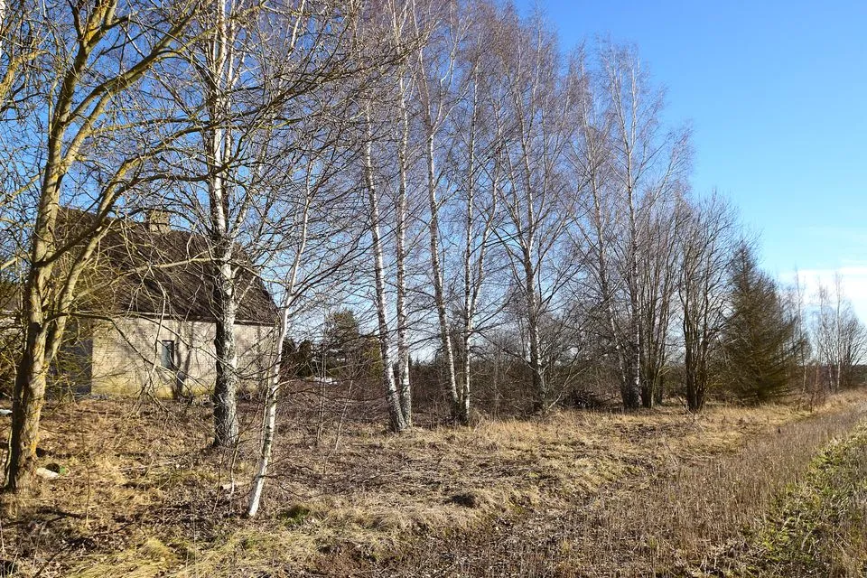 4-toaline Maja  -  Kambja vald, Ülenurme alevik - foto 5