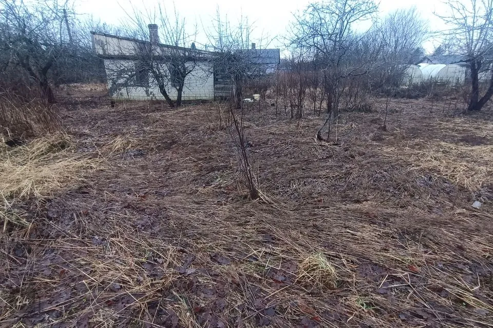 1-toaline Suvila  -  Kohtla-Järve linn, Järve linnaosa - foto 3