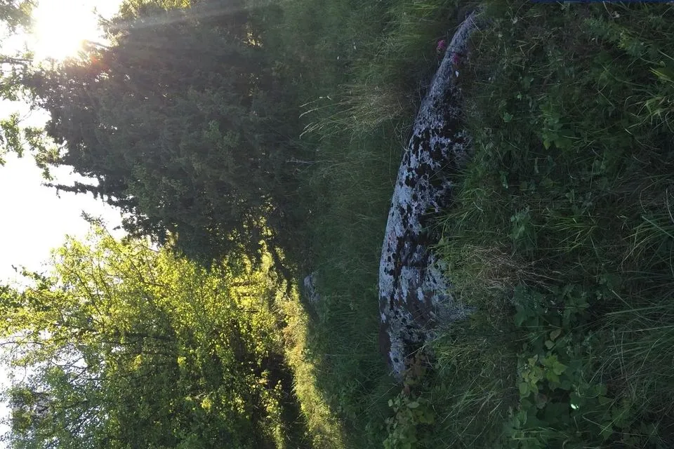 Maatulundusmaa, 5974 m² Maa  -  Lääneranna vald, Raespa küla - foto 4